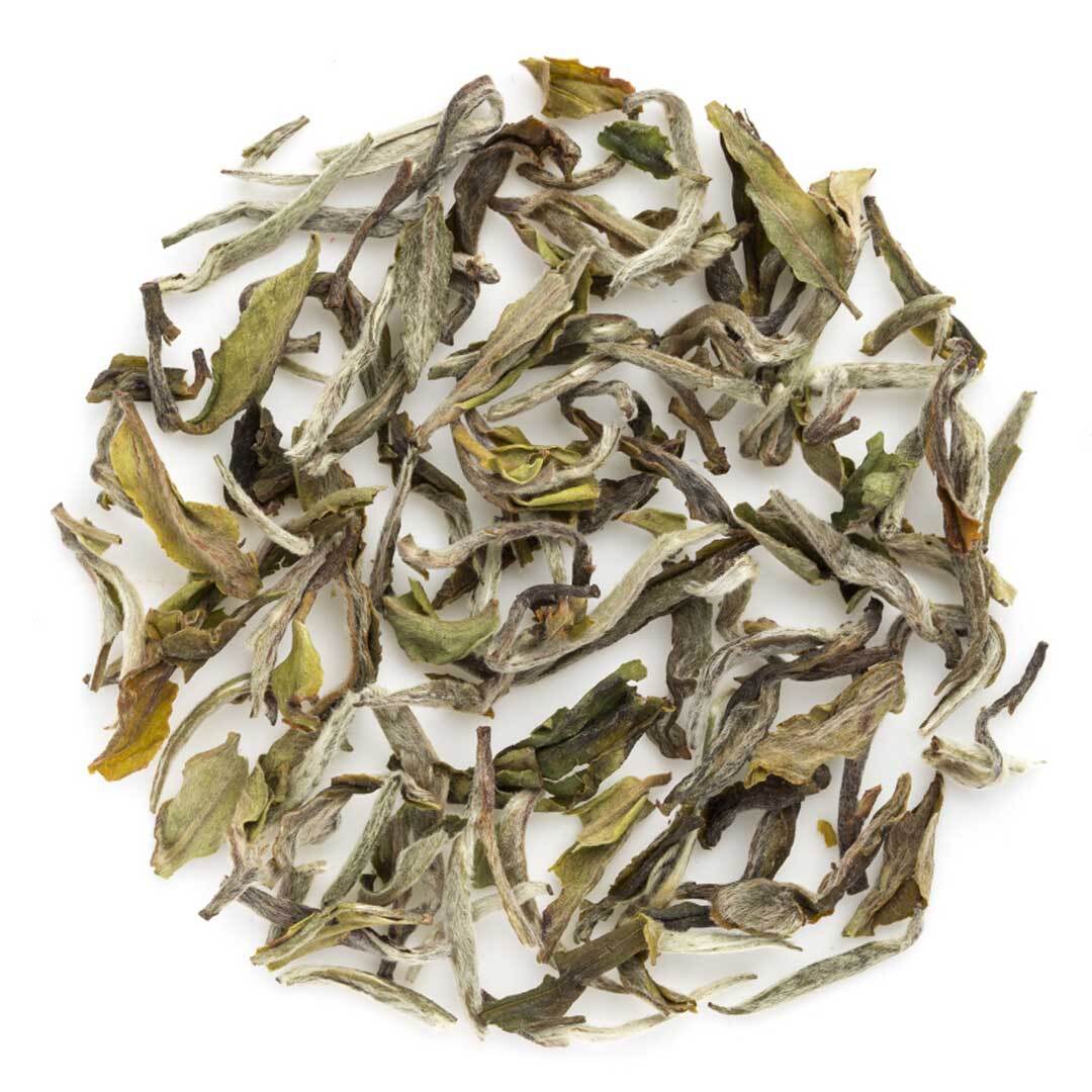 Darjeeling Barnesbeg Spring Moonlight White