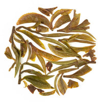 Darjeeling Barnesbeg Spring Moonlight White