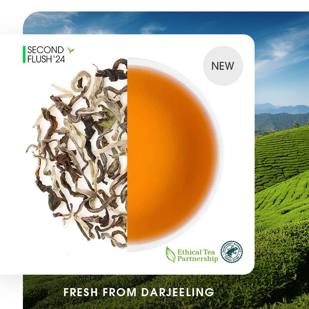 Darjeeling Castleton Moonlight Summer White