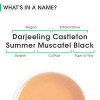 Darjeeling Castleton Summer Muscatel Black