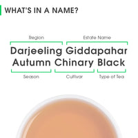 Darjeeling Giddapahar Autumn Chinary Black