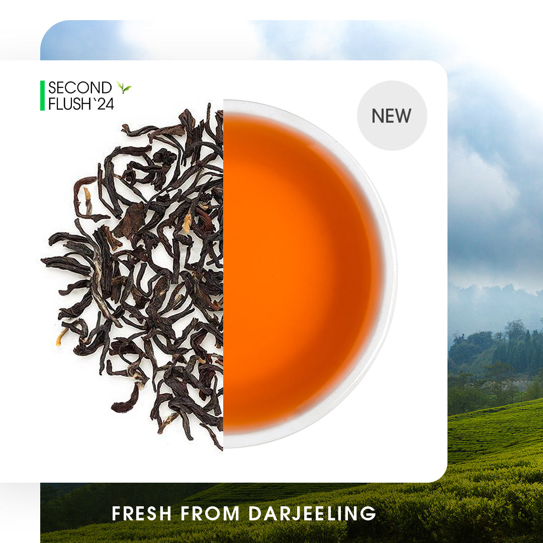 Darjeeling Giddapahar Summer Chinary Black