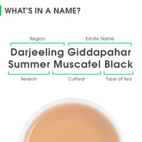 Darjeeling Giddapahar Summer Muscatel Black