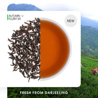 Darjeeling Goomtee Autumn Chinary Black