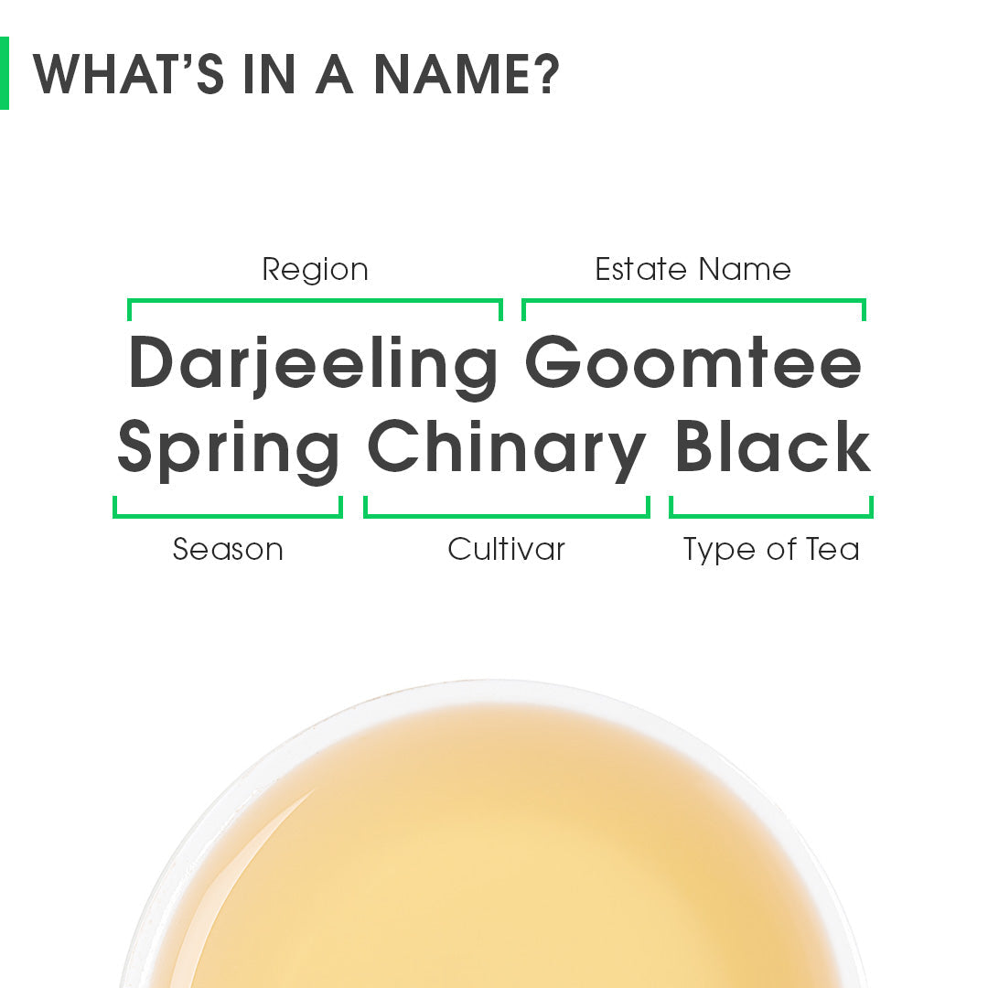 Darjeeling Goomtee Spring Chinary Black