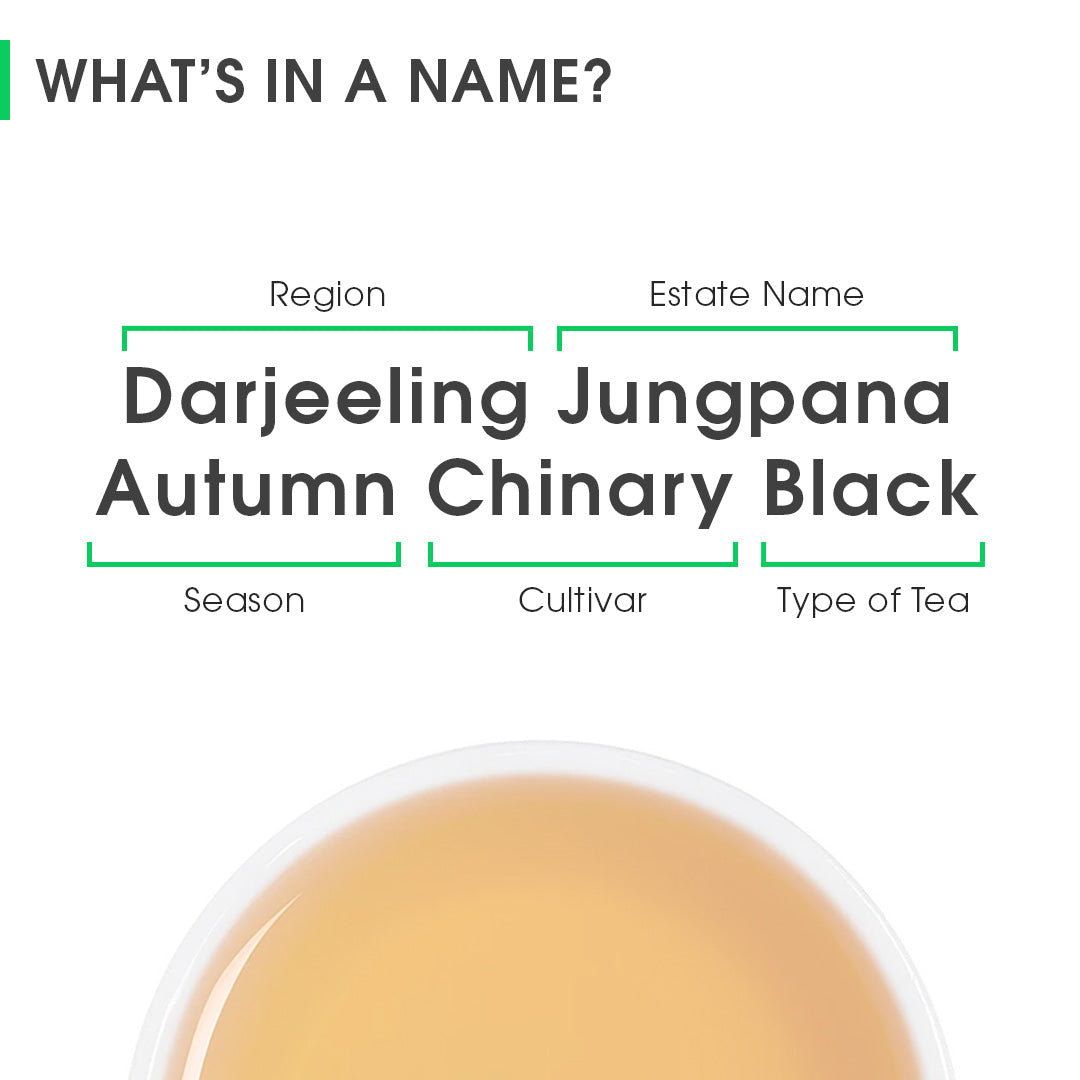 Darjeeling Jungpana  Autumn Chinary Black