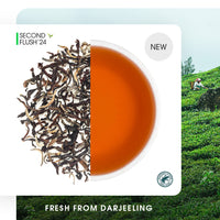 Darjeeling Jungpana Summer Chinary Black