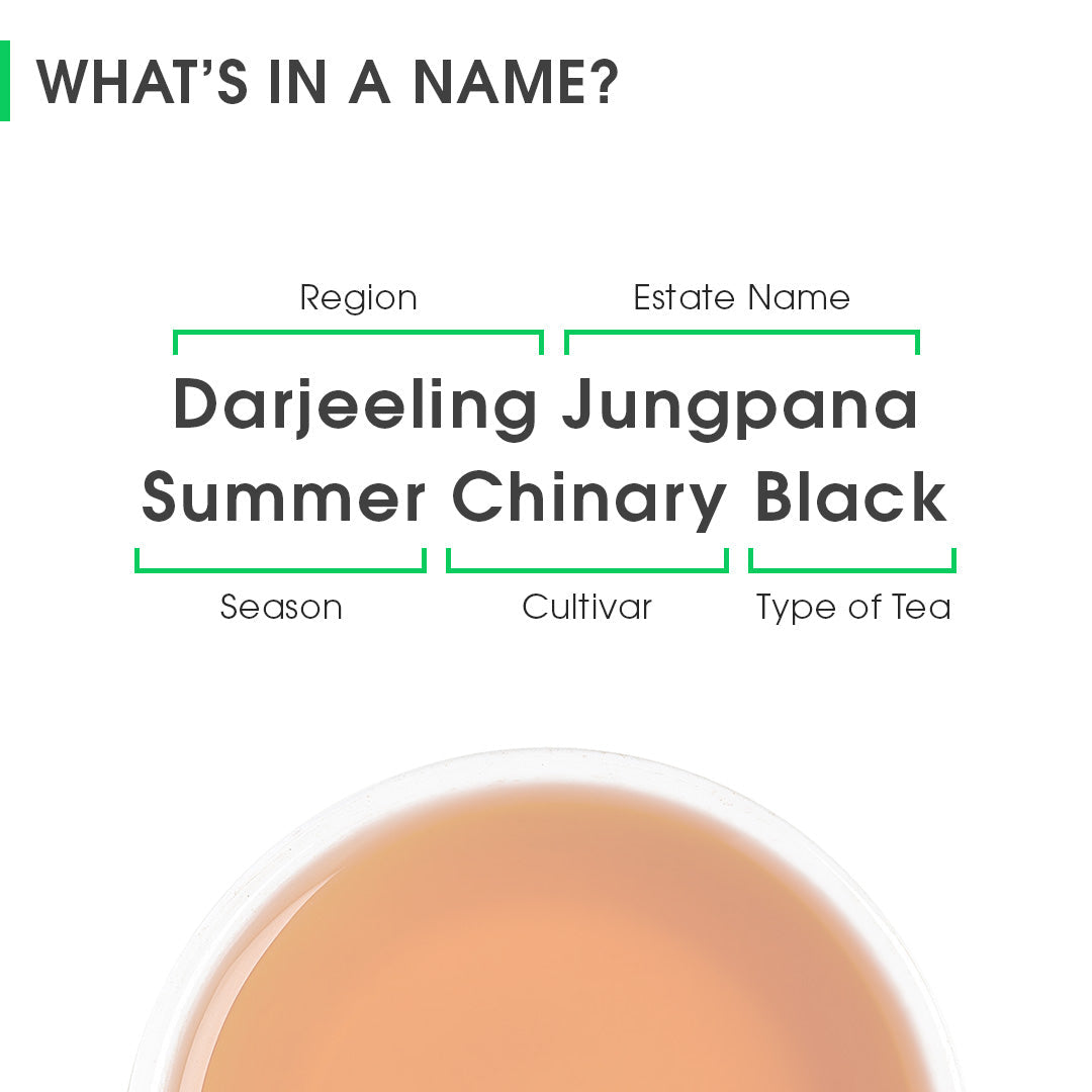 Darjeeling Jungpana Summer Chinary Black