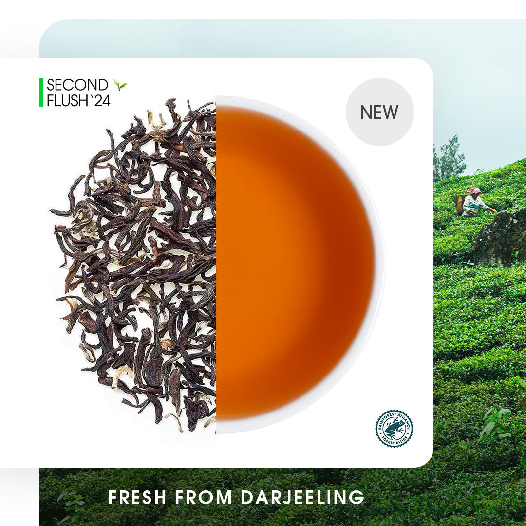 Darjeeling Jungpana Summer Muscatel Black