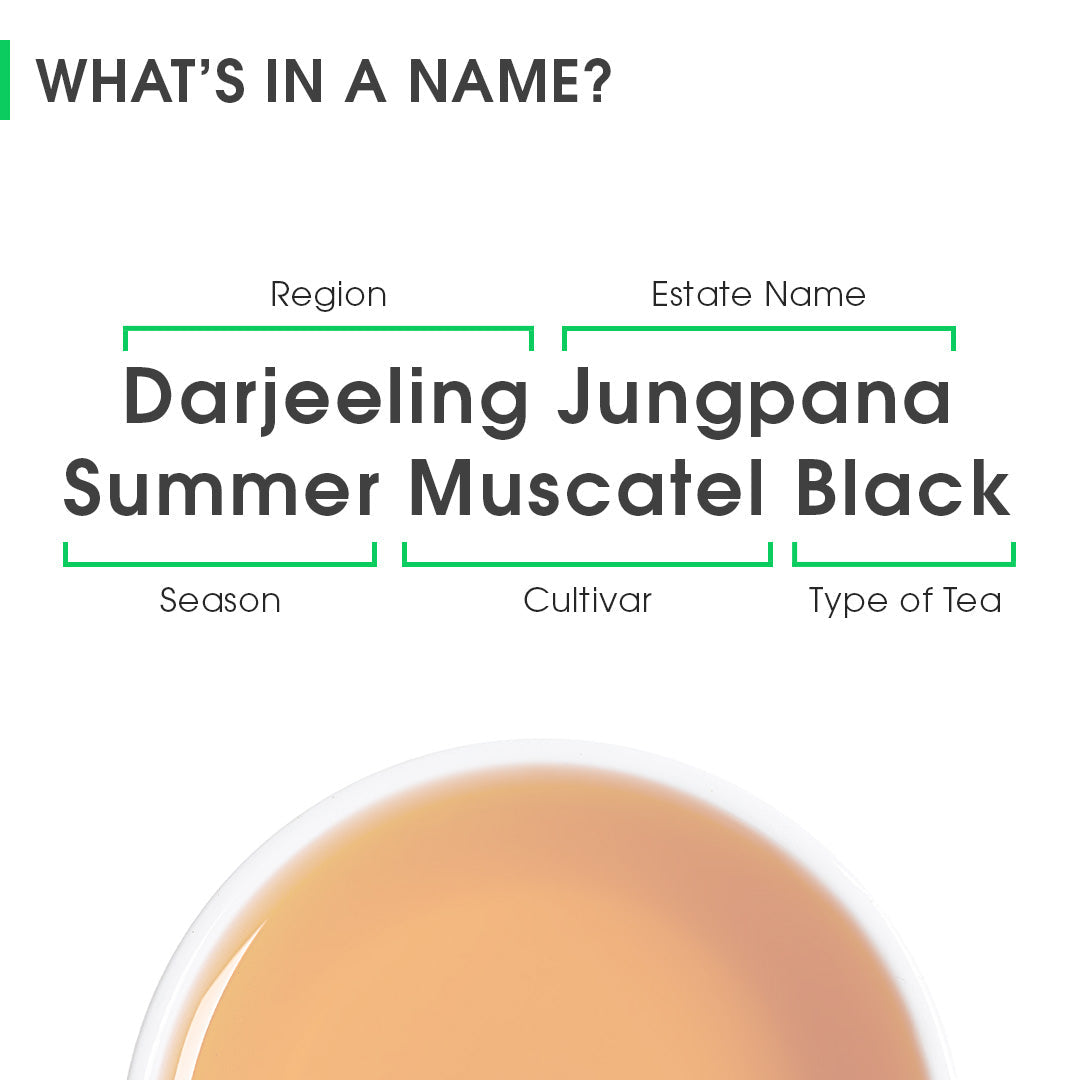 Darjeeling Jungpana Summer Muscatel Black