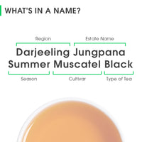 Darjeeling Jungpana Summer Muscatel Black