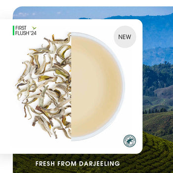 Darjeeling Margaret's Hope Spring Moonlight White