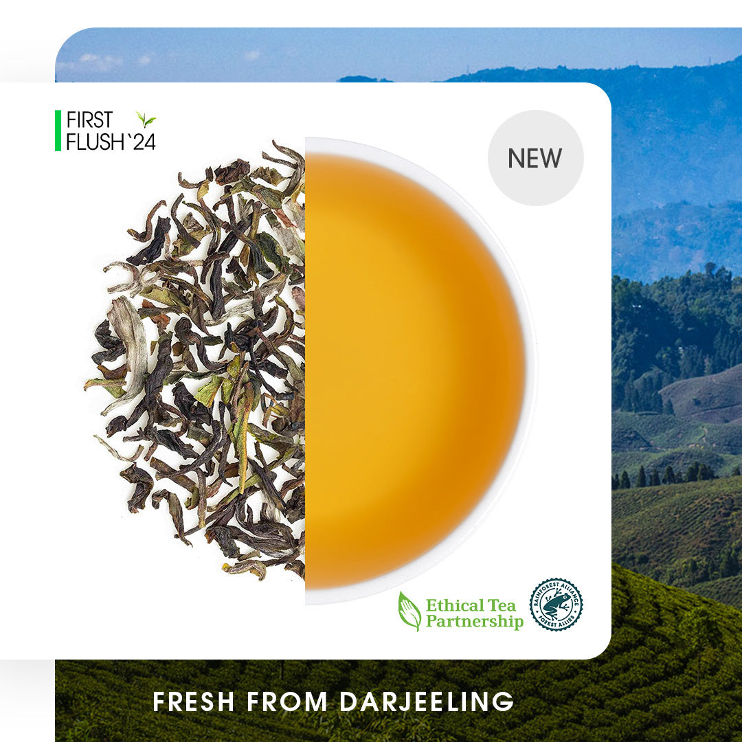 Darjeeling Margaret's Hope Spring Chinary Black