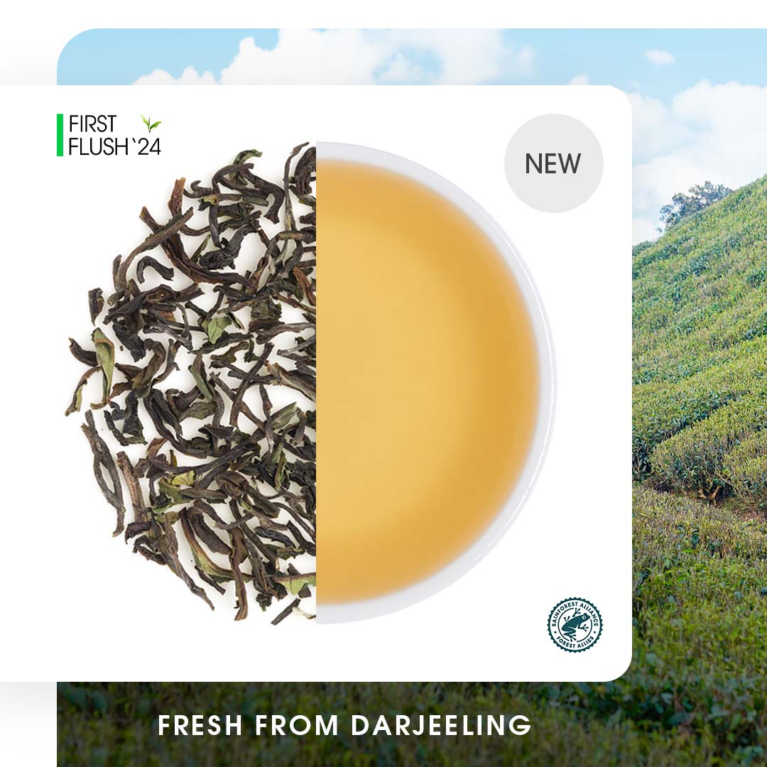 Darjeeling Mim Spring Chinary Black