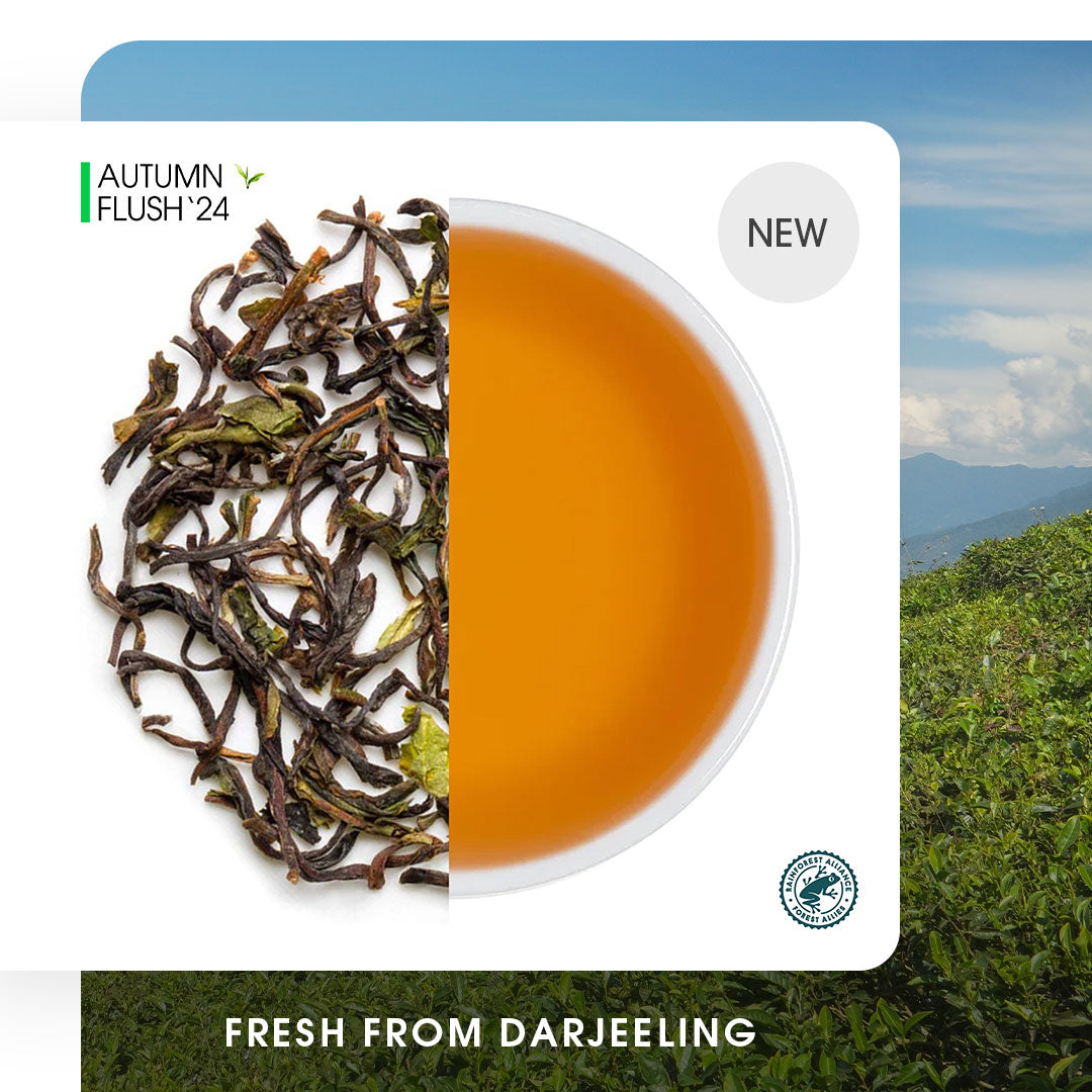 Darjeeling Okayti Autumn Clonal Black (Limited Edition)