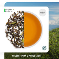 Darjeeling Okayti Autumn Clonal Black (Limited Edition)