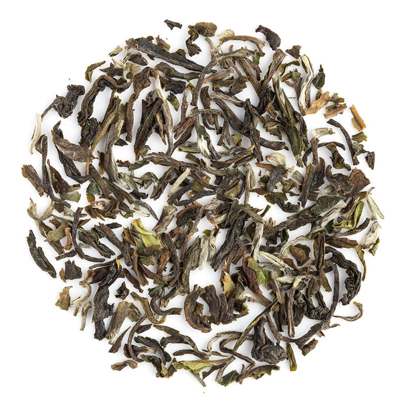 Darjeeling Okayti Spring Clonal Black (Signature Series)