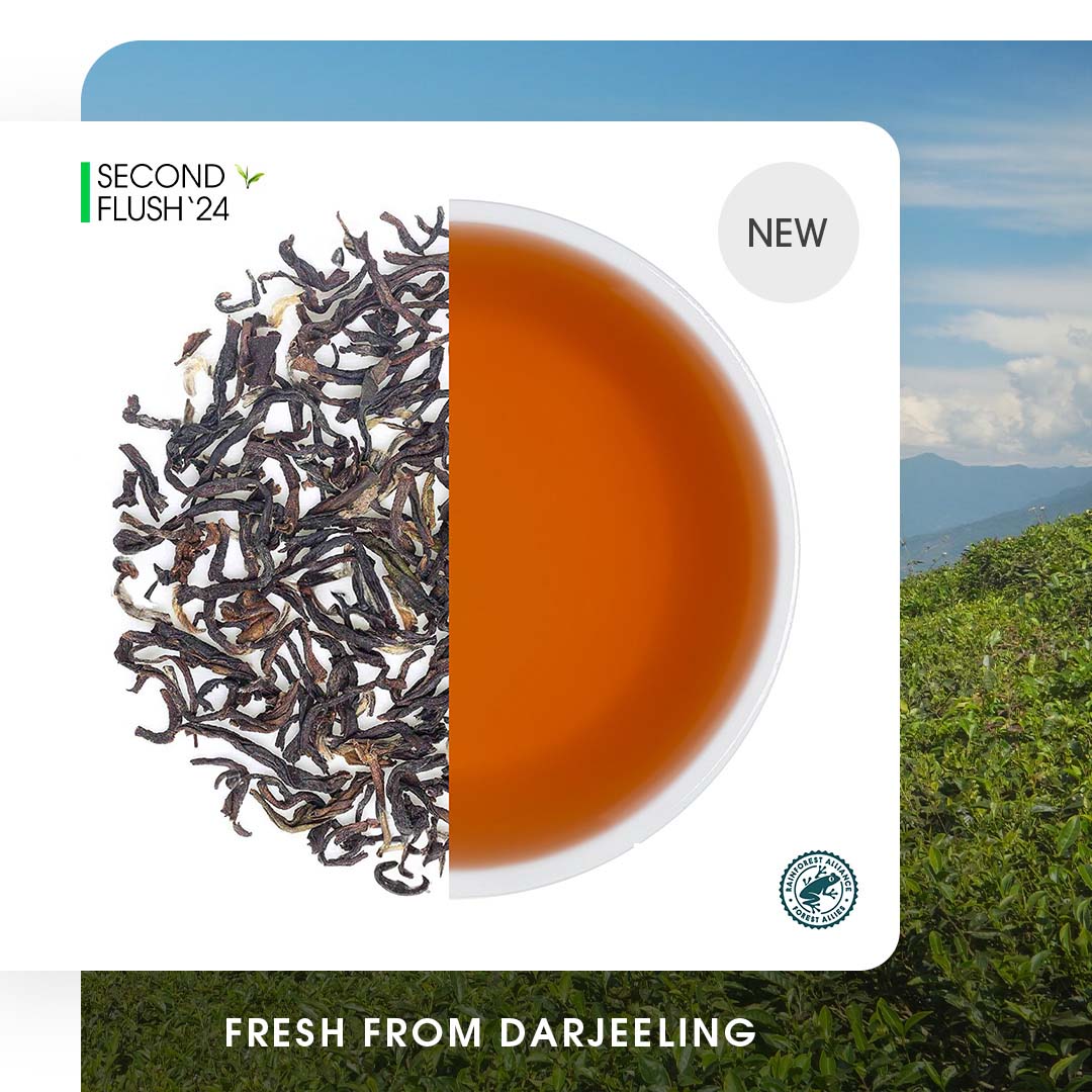 Teabox Darjeeling Okayti Summer Chinary Black - Veeha Foods
