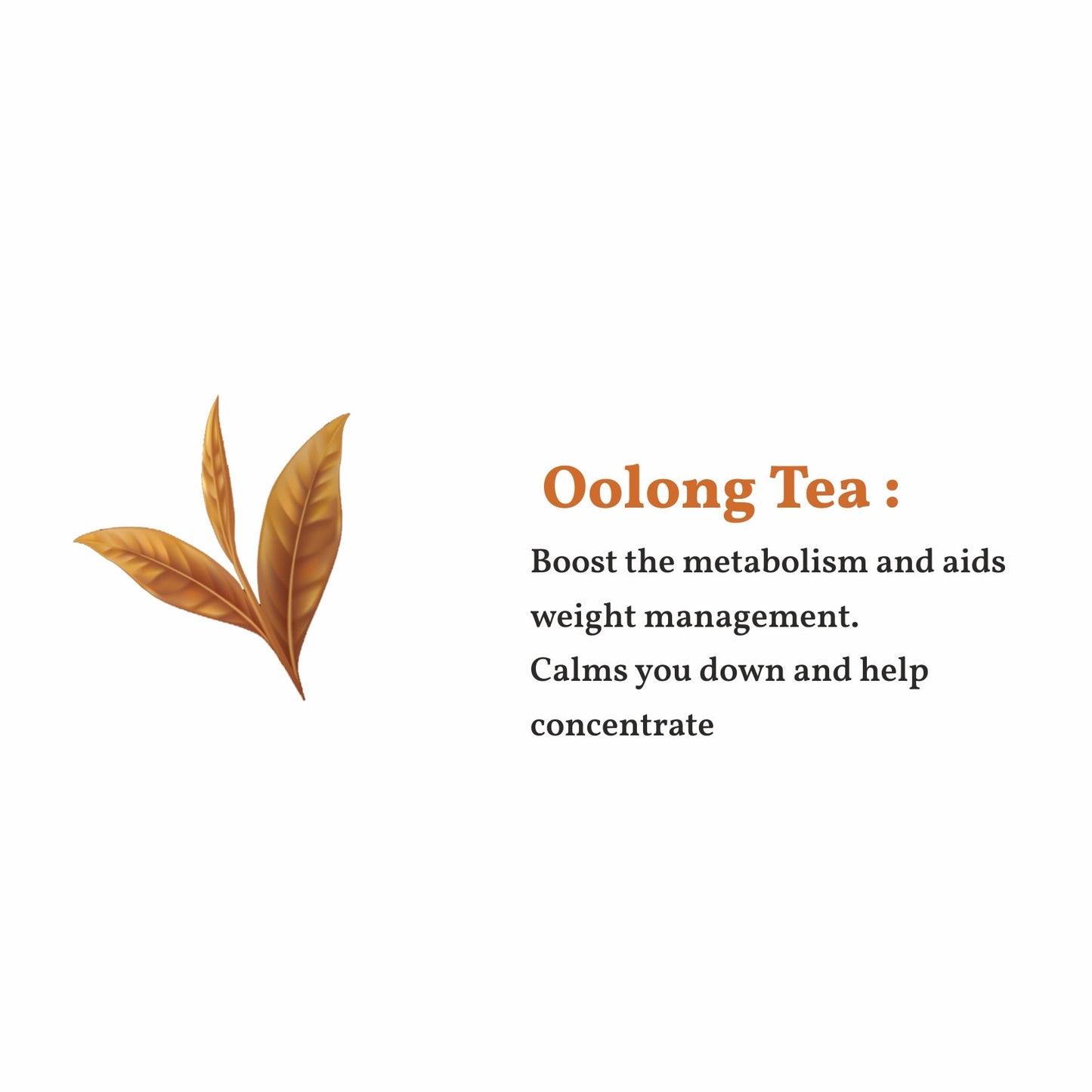 Darjeeling Oolong Tea