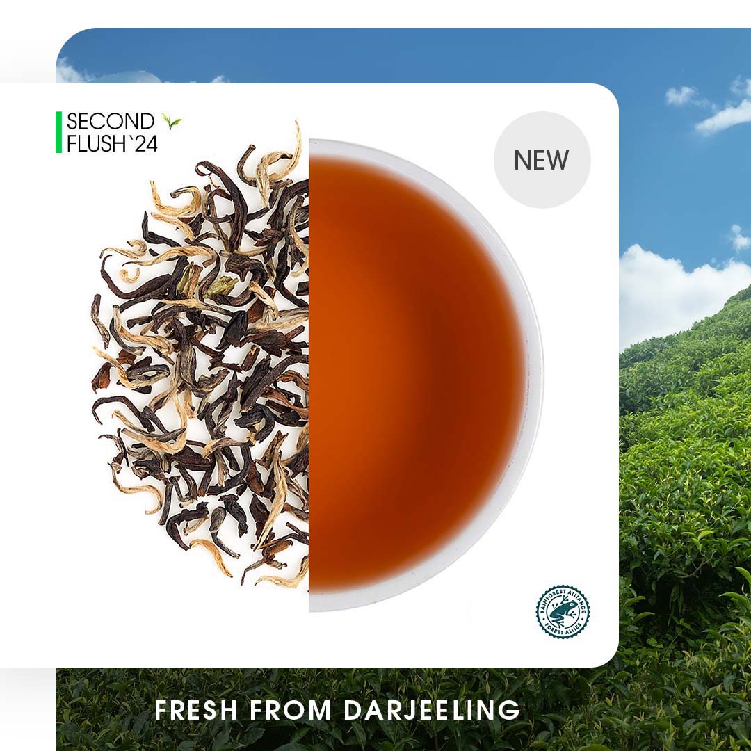 Darjeeling Phuguri Summer Clonal Black