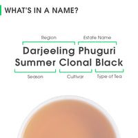 Darjeeling Phuguri Summer Clonal Black