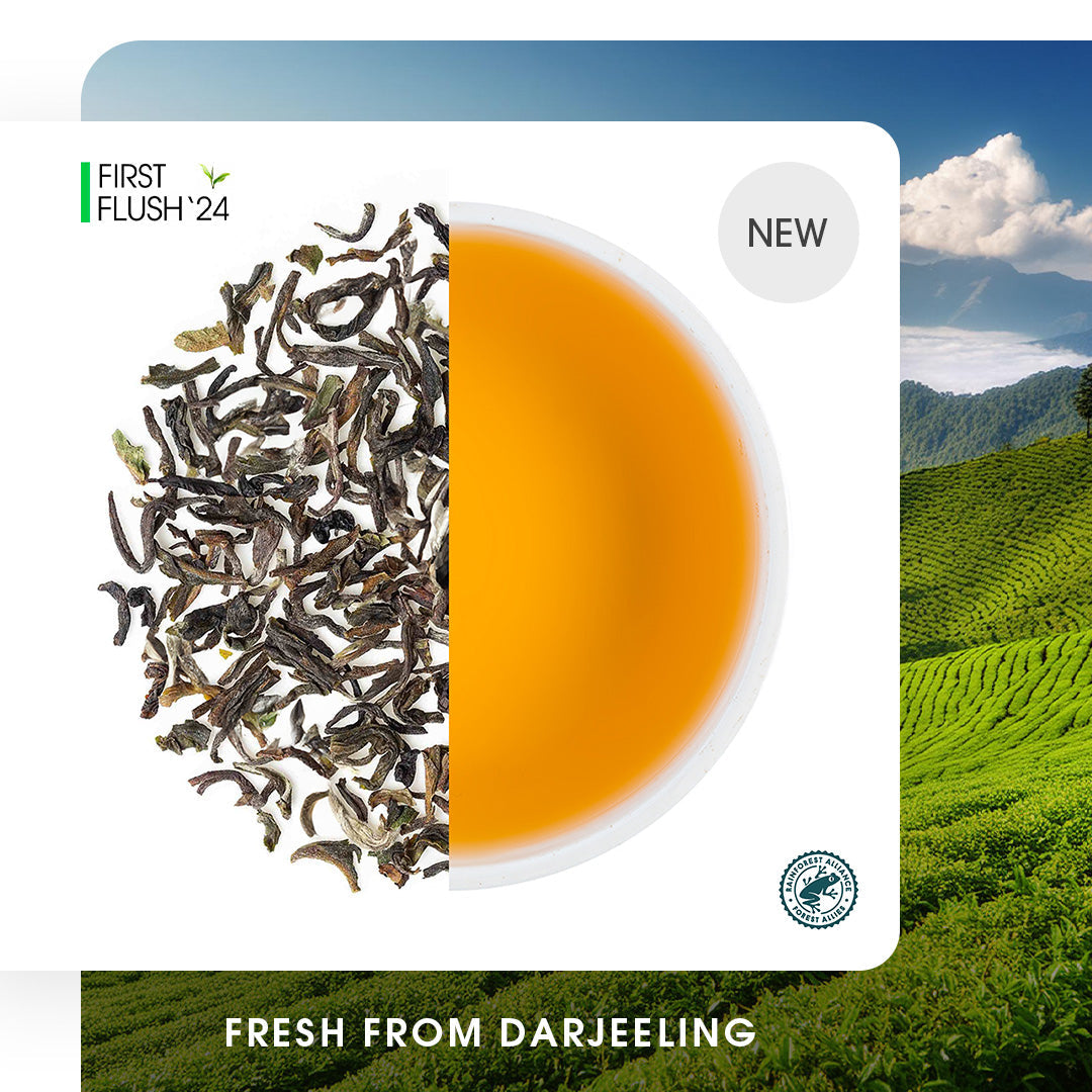 Darjeeling Poobong Spring Chinary Black