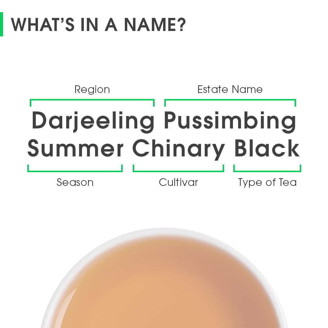 Darjeeling Pussimbing Summer Chinary Black