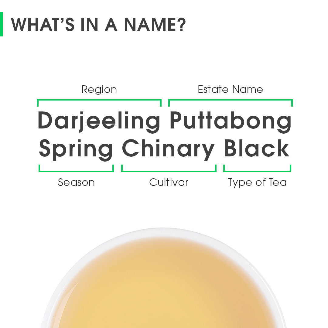 Darjeeling Puttabong Spring Chinary Black