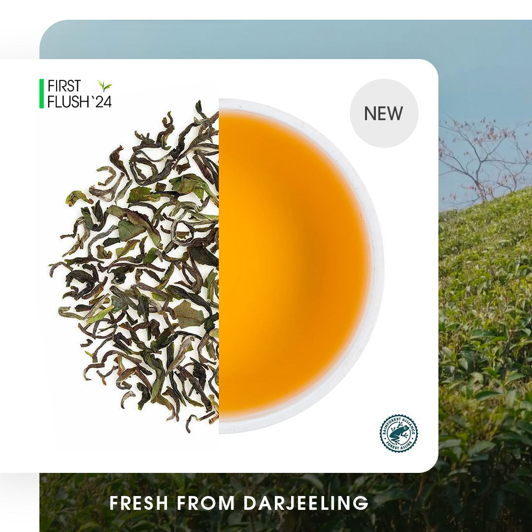 Darjeeling Risheehat Spring Chinary Black