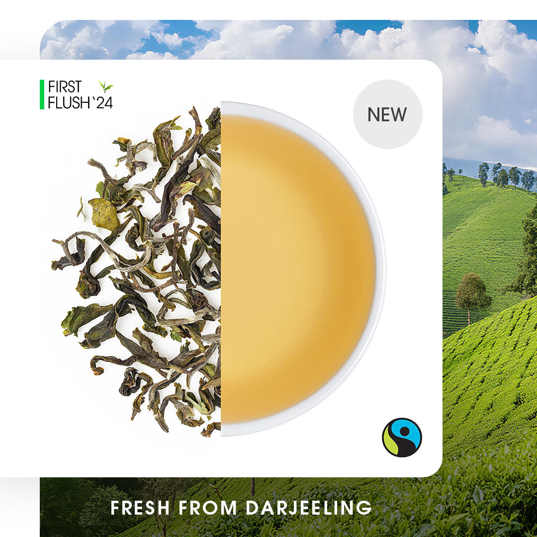 Darjeeling Samabeong Spring Black