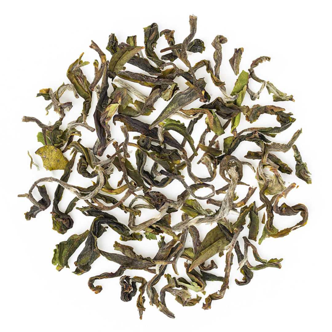 Darjeeling Samabeong Spring Black