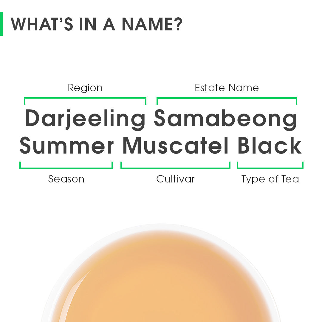 Darjeeling Samabeong Summer Muscatel Black (Limited Edition)