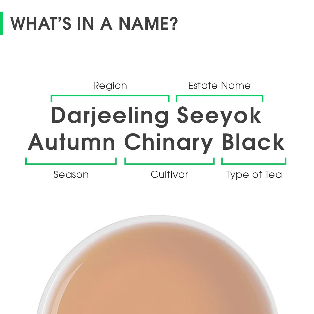 Darjeeling Seeyok Autumn Chinary Black