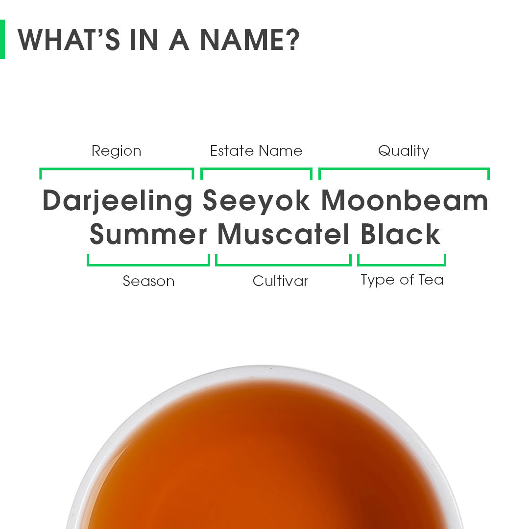 Darjeeling Seeyok Moonbeam Summer Muscatel Black (Private Reserve)