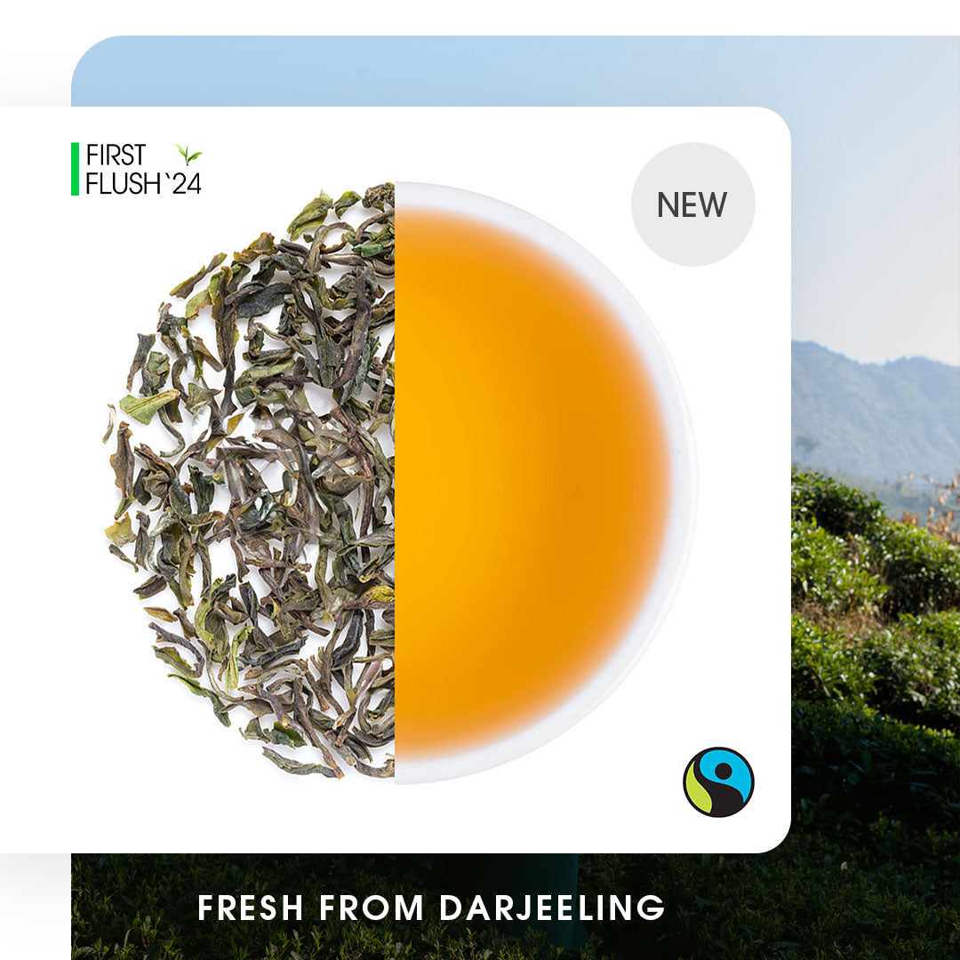 Darjeeling Selimbong Spring Chinary Black