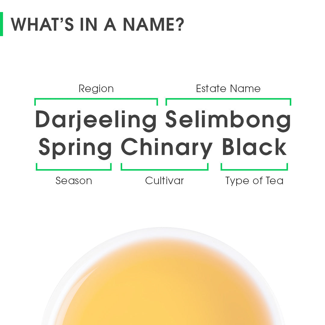 Darjeeling Selimbong Spring Chinary Black