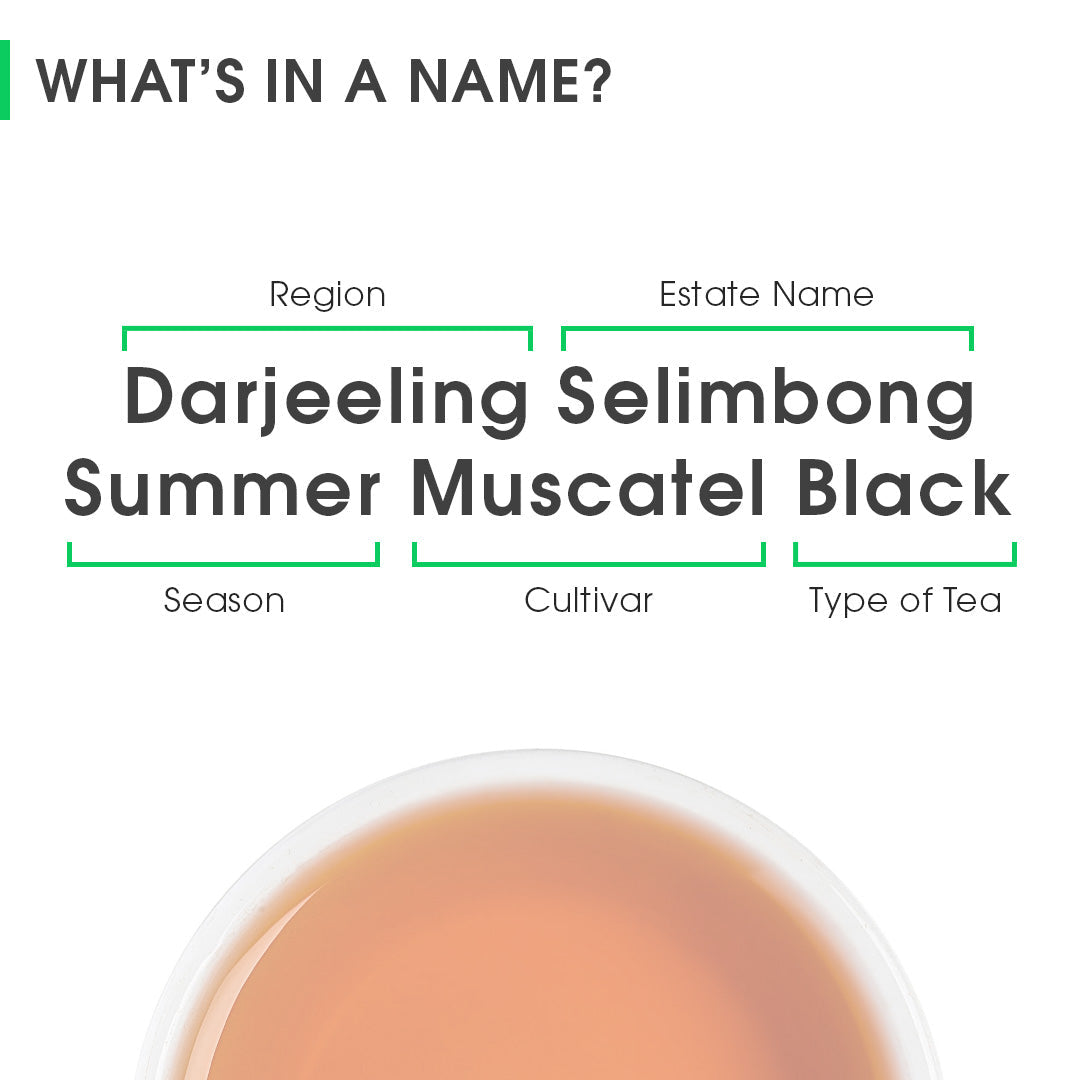 Darjeeling Selimbong Summer Muscatel Black