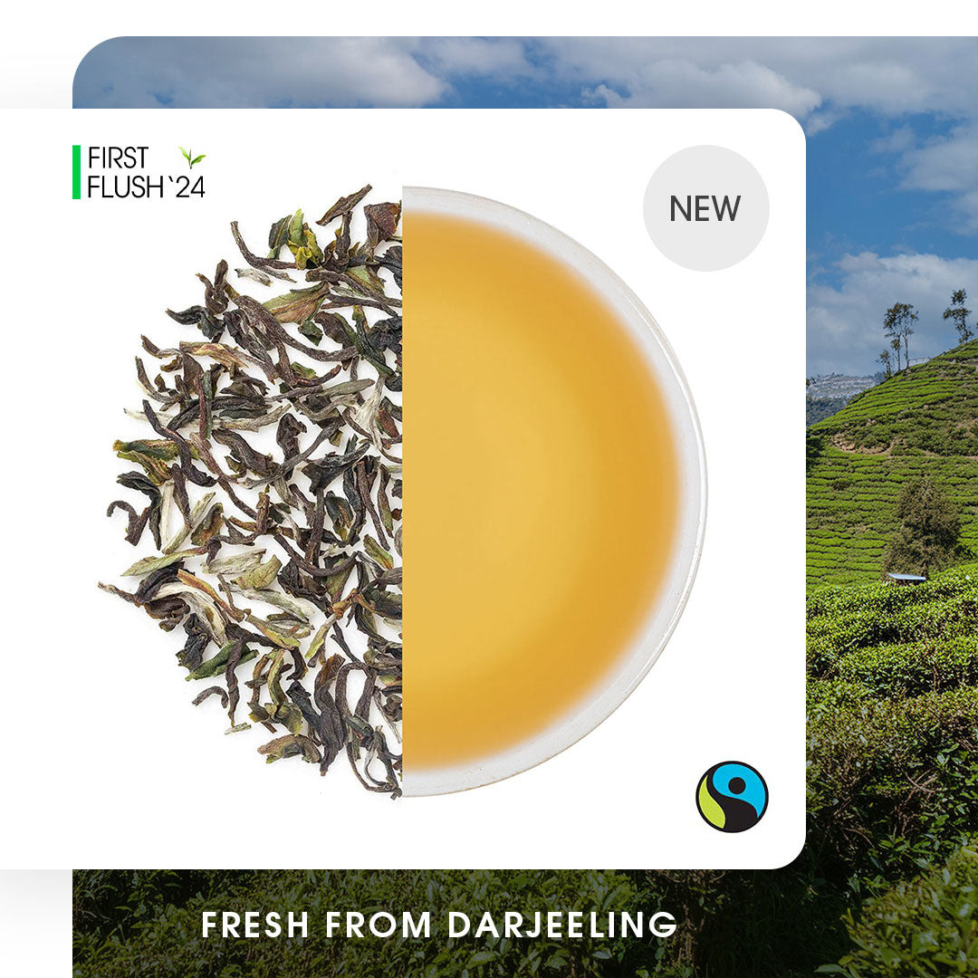 Darjeeling Singell Spring Chinary Black