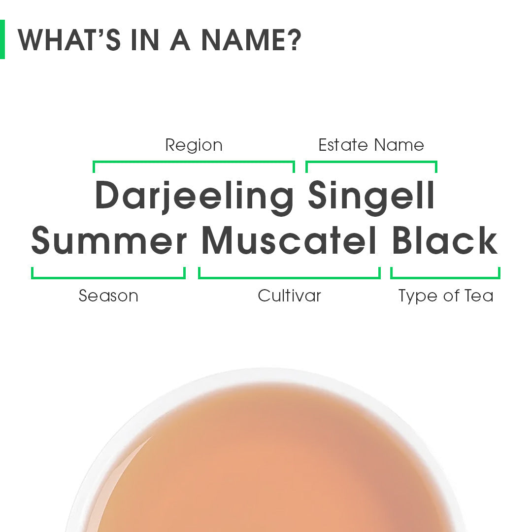 Darjeeling Singell Summer Muscatel Black