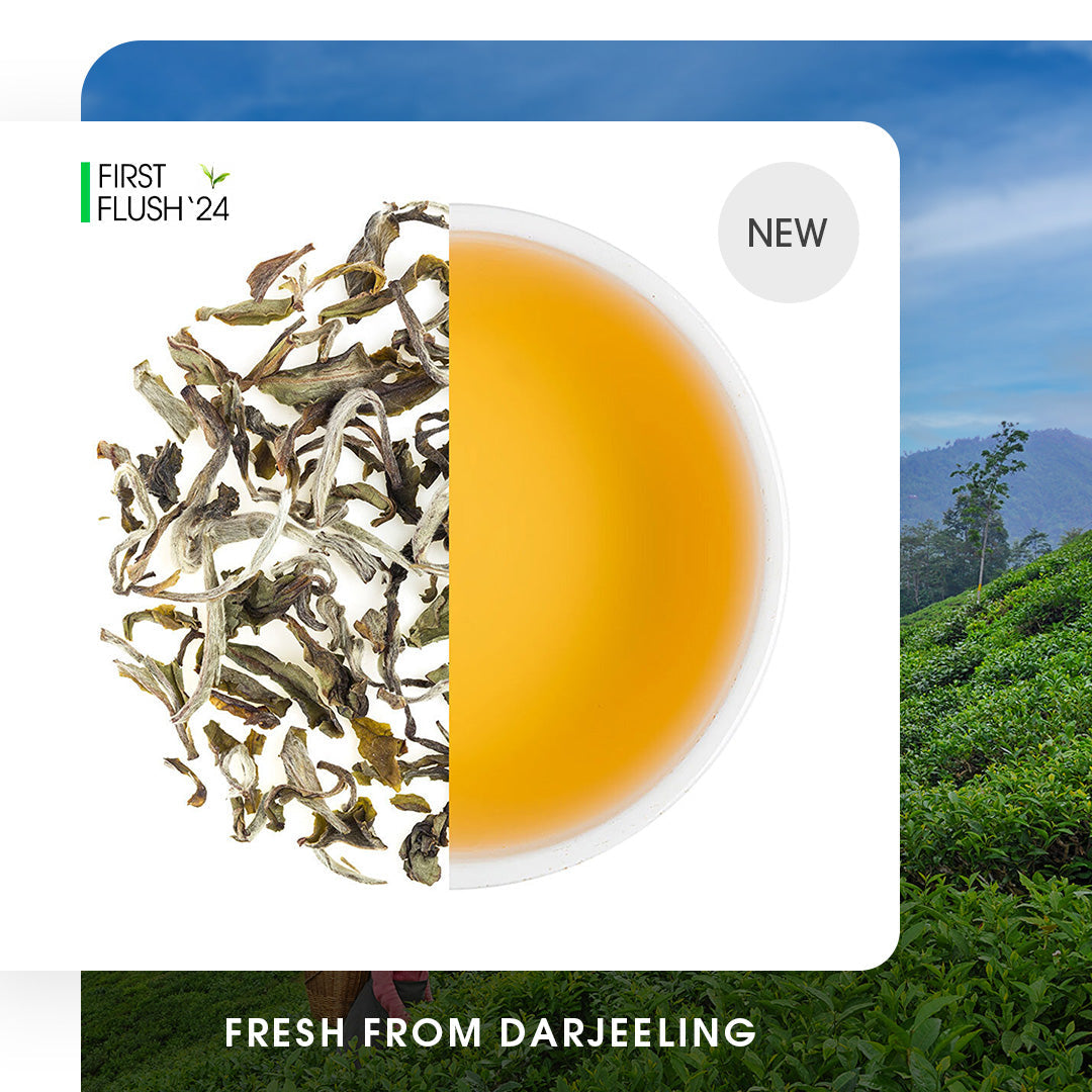 Darjeeling Special Spring White