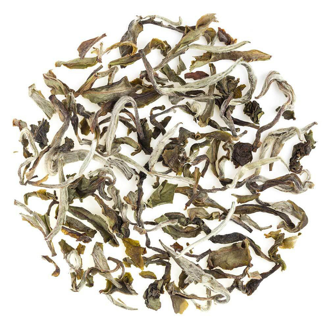 Darjeeling Special Spring White