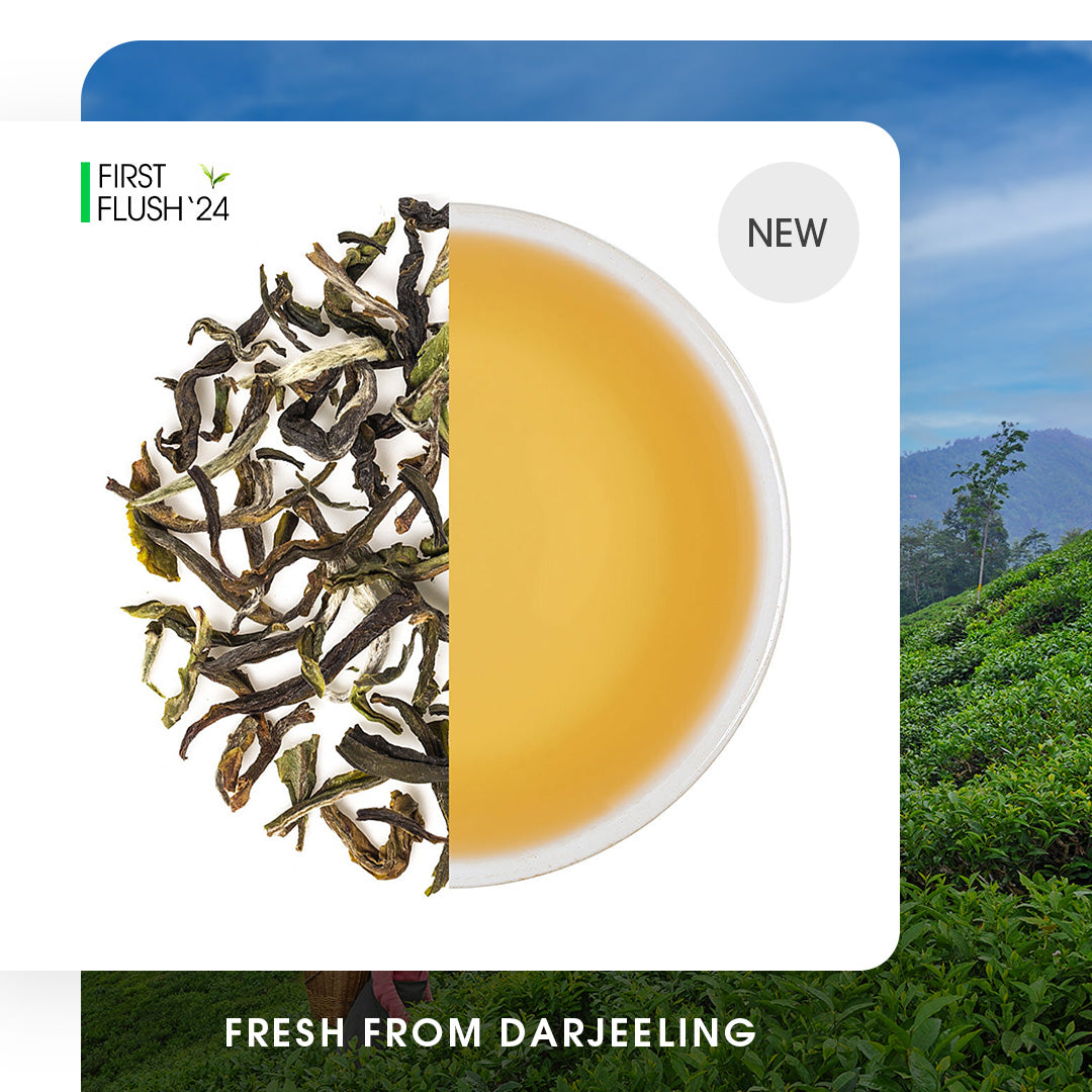 Darjeeling Spring Clonal Black