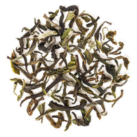 Darjeeling Spring Clonal Black