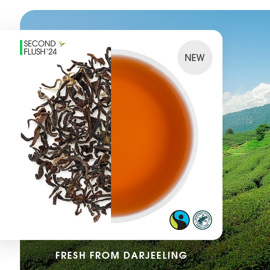 Darjeeling Sungma Summer Muscatel Black