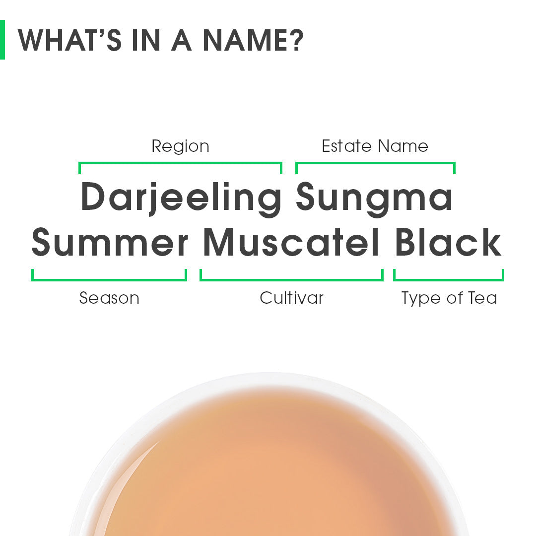 Darjeeling Sungma Summer Muscatel Black