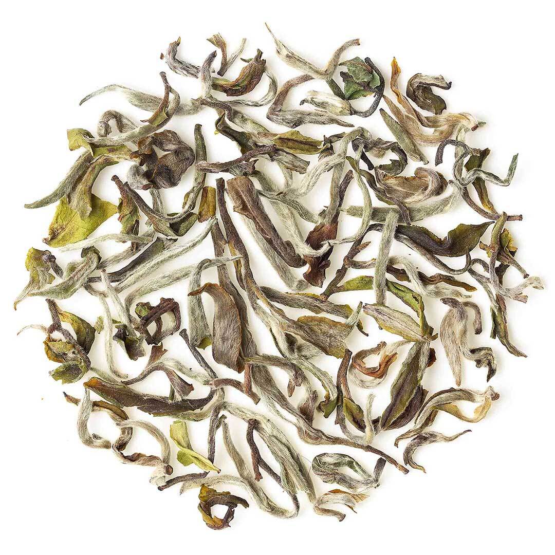 Darjeeling Turzum Spring Moonlight White