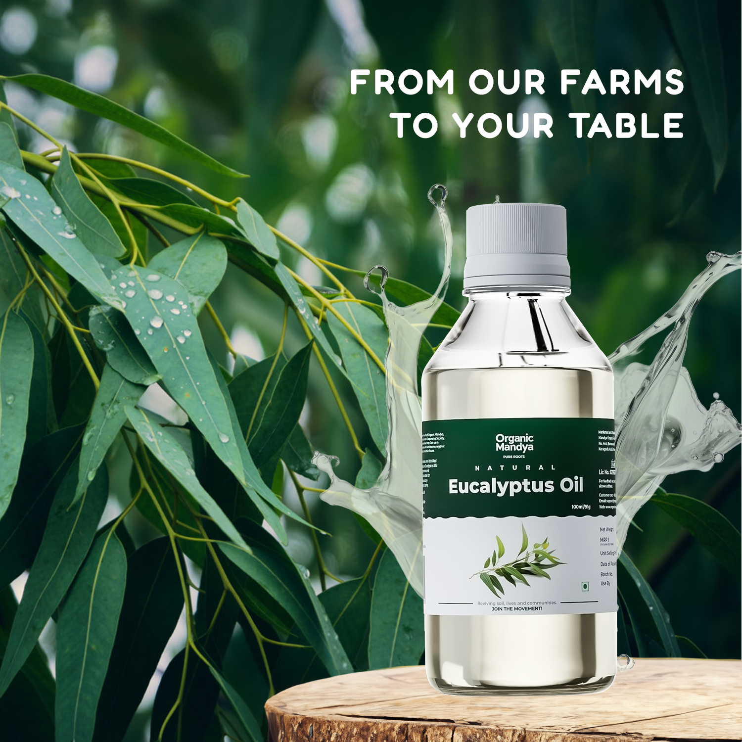 Eucalyptus Oil