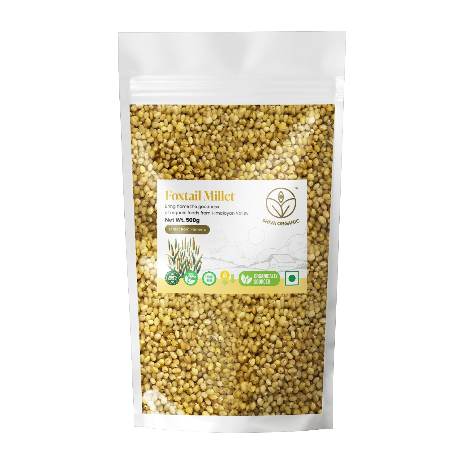 Foxtail Millet