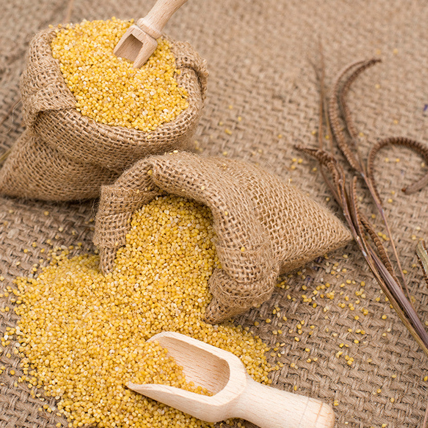 Nutty Yogi Organic Foxtail Millet / Navane