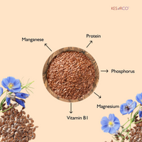 Flax Seeds